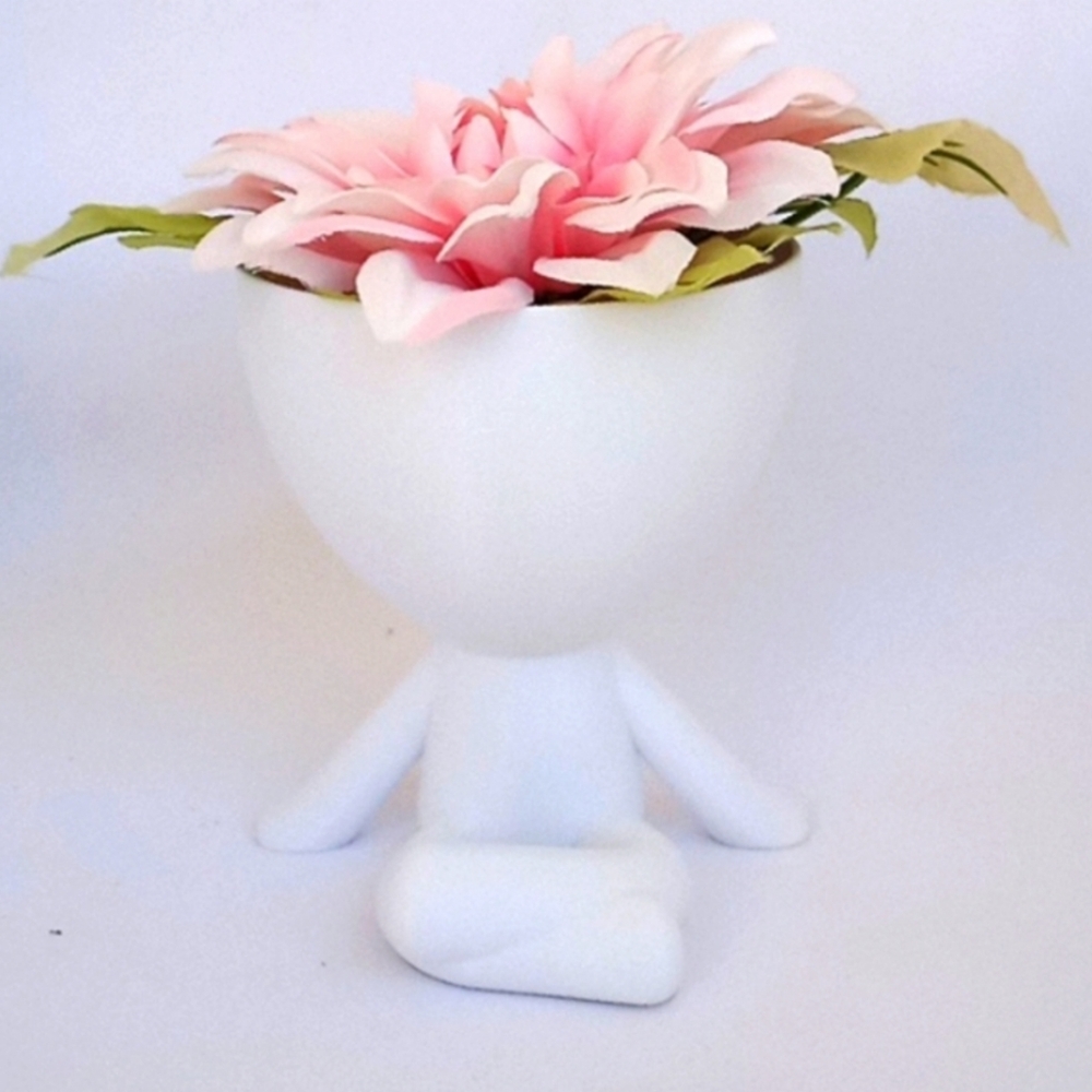 Hydroponic Planter